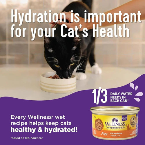 Wellness Complete Health Pate Adult Wet Cat Food, Natural, Protein-Rich, Grain Free