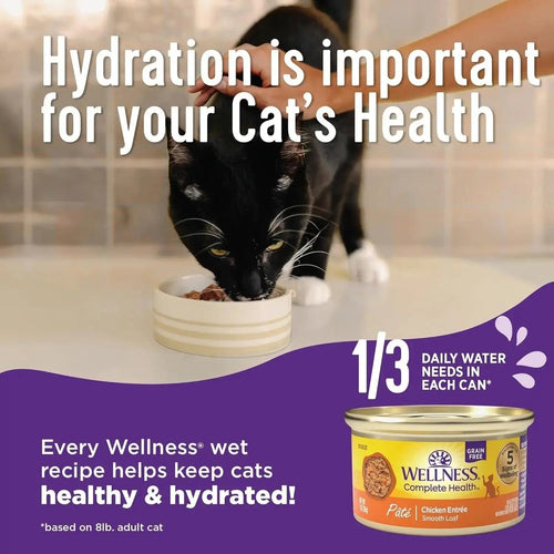 72 Packs - Wellness Complete Health Pate Adult Wet Cat Food, Natural, Protein-Rich, Grain Free