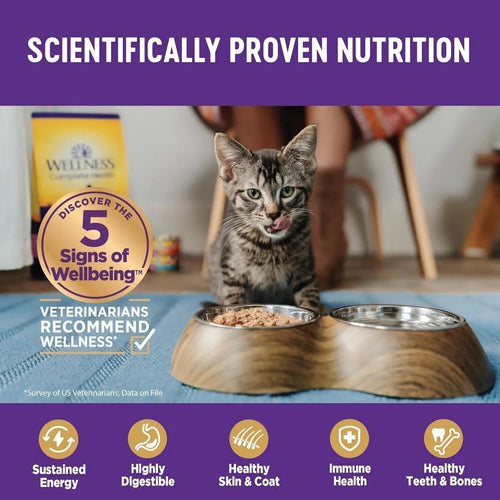Wellness Complete Health Pate Adult Wet Cat Food, Natural, Protein-Rich, Grain Free