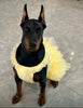 Big Dog dress Cute Layers with pearls necklace(3color)