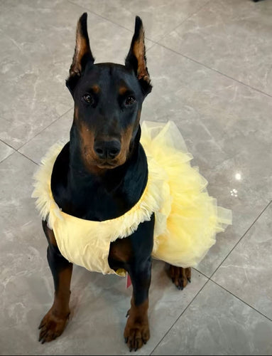 Big Dog dress Cute Layers with pearls necklace(3color)