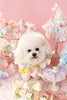 Snowwhite Satin Lace Pet Bib Collar