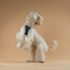 The NoMad Adjustable Luxe Harness - Denim