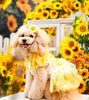 Handmade Butterfly Tulle Pet Dress Pink Yellow