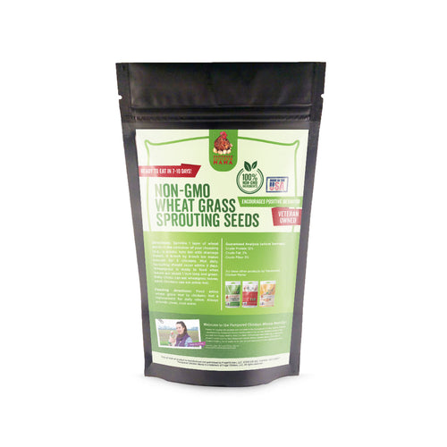 Non-GMO Wheat Seeds for Sprouting Fodder (Wheat Grass) -- Sustainably Grown In Missouri To Encourage Positive Behaviors