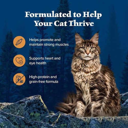 Blue Buffalo Wilderness Wild Delights Minced Natural Wet Cat Food, Chicken & Turkey in Tasty