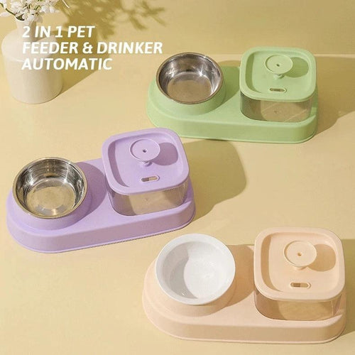 2-in-1 Cat Water Dispenser And Feeding Bowl