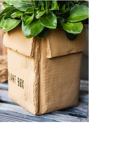 Cement Brown Paper Box Flowerpot Creative Planting Indoor Balcony