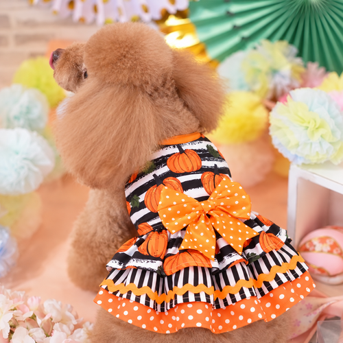 Pumpkin Bow Halloween Pet Dress