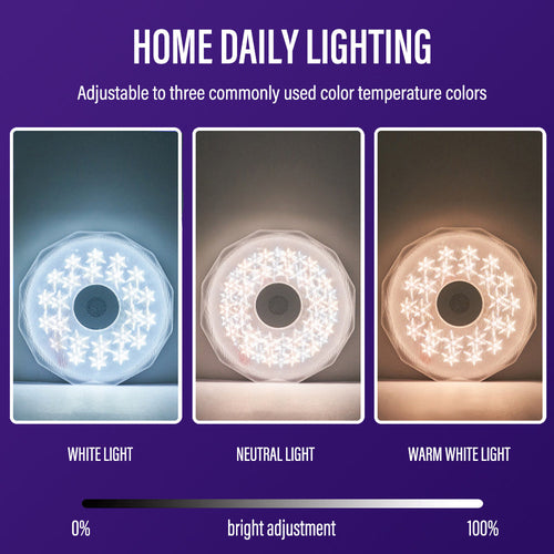 Bluetooth Ceiling Lamp Intelligent RGB Colorful Music