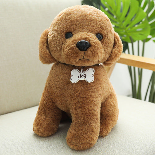 Nari Doll Ragdoll Children's Birthday Gift