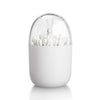 Multi-purpose Animal And Plant Toothpick Storage Box