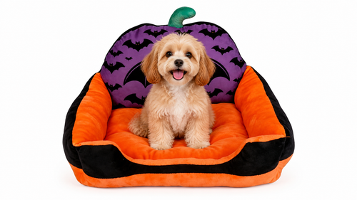Pumpkin Bat Halloween Pet Sofa Bed
