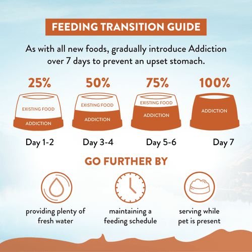 Addiction Kangaroo Dog Food & Treats Bundle