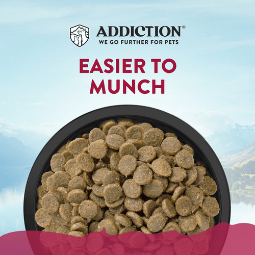 Viva La Venison Grain-free Premium Venison Small Breed Dry Dog Food