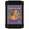 Advanced Nutrients®, pH Perfect®, Sensi Bloom, Part B (23 liter)
