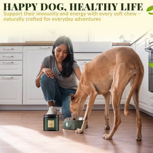 Allergy & Immune Bites for Dogs – Colostrum, Probiotics & Omega-3 – Seasonal Allergy & Itchy Skin Relief – Peanut Butter Flavor