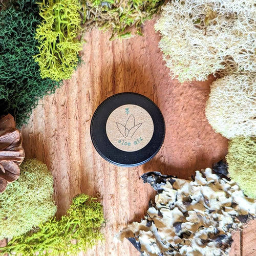 Aloe Mix Seeds