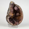 Amethyst Purple Crystals Geode (2 Halves ) Natural Mineral Specimen  # B 5004