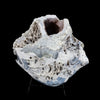 Amethyst Sparkling Crystals Geode in two Half's Natural Mineral Specimen # B 6364