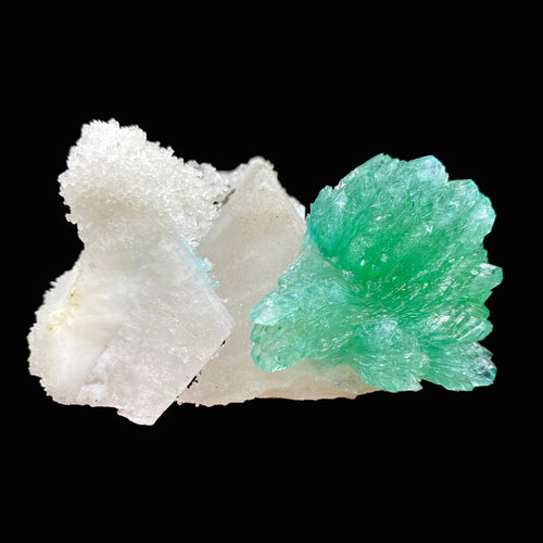 Rare Green Apophyllite Spray on Calcite | Natural Indian Mineral Specimen from Jalgaon DK87