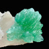 Rare Green Apophyllite Spray on Calcite | Natural Indian Mineral Specimen from Jalgaon DK87