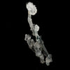 Apophyllite Crystals on Sparkling MM Quartz Stalactite Natural Mineral Specimen # B 6079