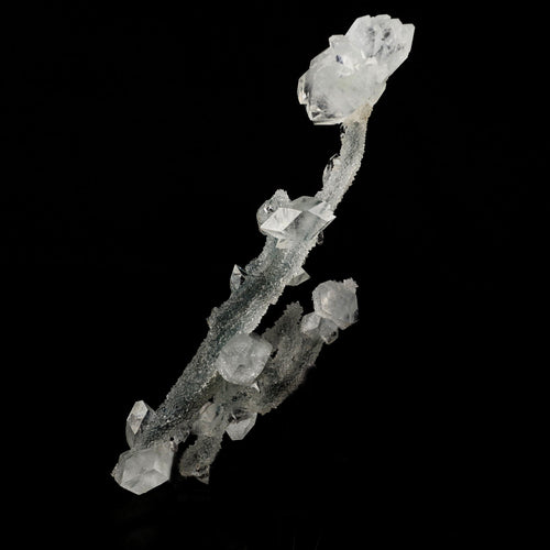 Apophyllite Crystals on Sparkling MM Quartz Stalactite Natural Mineral Specimen # B 6079