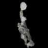 Apophyllite Crystals on Sparkling MM Quartz Stalactite Natural Mineral Specimen # B 6079