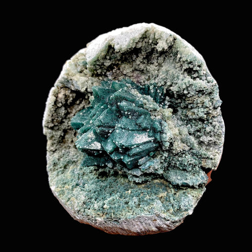 Brilliant Huge Marshy Green Apophyllite Flower with Celadonite & Chalcedony | Raw Indian Zeolite Mineral Specimen from Jalgaon DK131