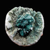 Brilliant Huge Marshy Green Apophyllite Flower with Celadonite & Chalcedony | Raw Indian Zeolite Mineral Specimen from Jalgaon DK131