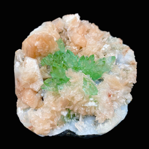 Top Collector Deep Green Apophyllite with Stilbite Cluster | Rare Indian Zeolite Mineral Specimen from Jalgaon DK82