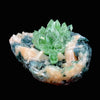 Apophyllite Green Flower on Chalcedony Natural Mineral Specimen # DK180