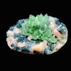 Apophyllite Green Flower on Chalcedony Natural Mineral Specimen # DK180
