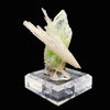 Rare Green Apophyllite with Scolecite on Custom Engraved Acrylic Base | Jalgaon, India Natural Mineral Specimen DK88