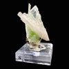 Rare Green Apophyllite with Scolecite on Custom Engraved Acrylic Base | Jalgaon, India Natural Mineral Specimen DK88