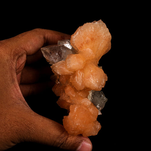 Apophyllite with Stilbite Natural Mineral Specimen # B 6457