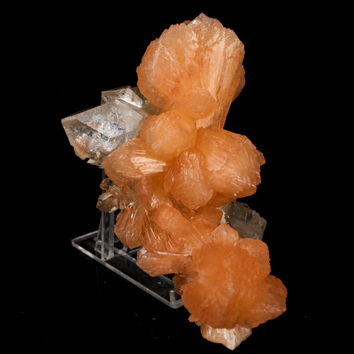 Apophyllite with Stilbite Natural Mineral Specimen # B 6457