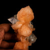 Apophyllite with Stilbite Natural Mineral Specimen # B 6457