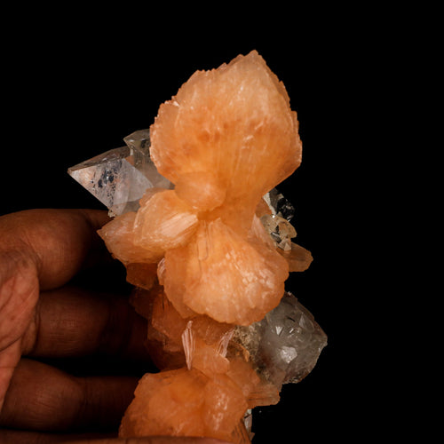 Apophyllite with Stilbite Natural Mineral Specimen # B 6457