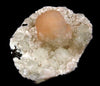 Apophyllite with Stilbite on Chalcedony Natural Mineral Specimen# B 1629