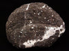Apophyllite with Stilbite on Chalcedony Natural Mineral Specimen# B 1629