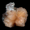 Apophyllite With Stilbite Perfect Bow-Tie formation Natural Mineral Specimen  # B 4796