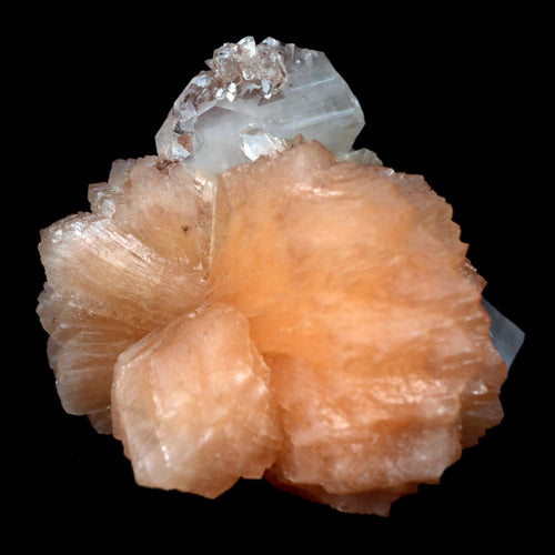 Apophyllite With Stilbite Perfect Bow-Tie formation Natural Mineral Specimen  # B 4796