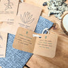 Asparagus Fern Houseplant Seed Collection