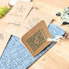 Asparagus Fern Houseplant Seed Collection