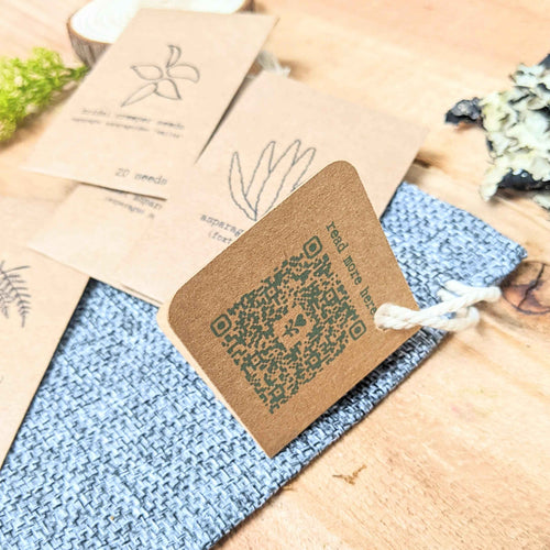 Asparagus Fern Houseplant Seed Collection