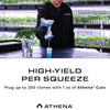 Athena® Cuts Rooting Compound (7 oz.)