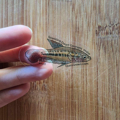 Mystery Nano Fish Stickers 5 pack