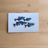 Mystery Nano Fish Stickers 5 pack